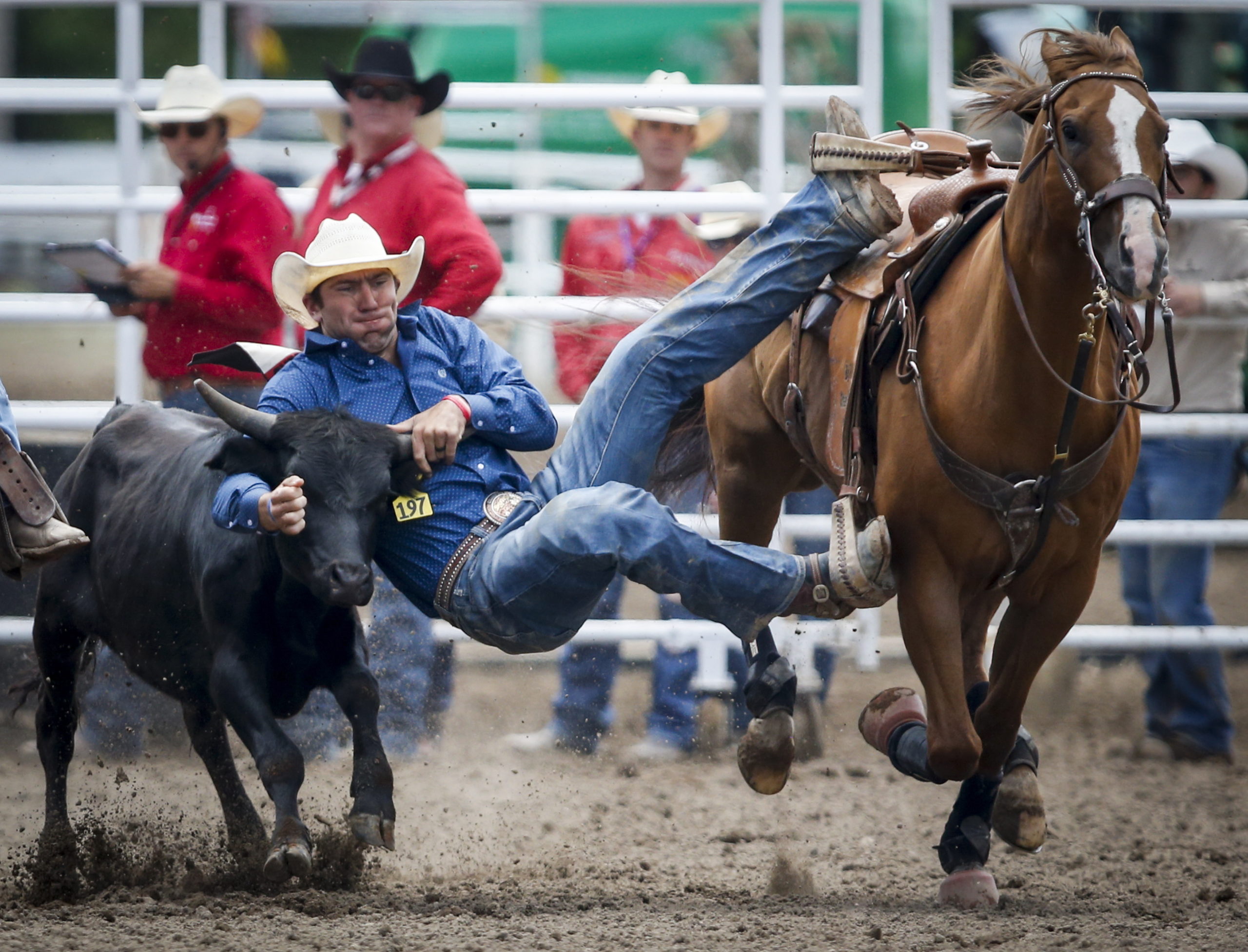 Cos'è il Rodeo | CountryEvents Milano | Eventi e Corsi di Country Line Dance