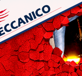 NOLEGGIO TORO MECCANICO